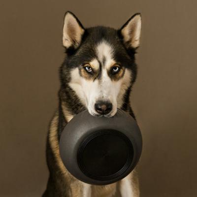District 70 Bamboo voerbak donkergrijs voor de hond Small
