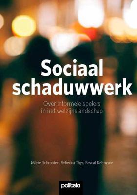Sociaal schaduwwerk (Paperback) Sociaal schaduwwerk (Paperback)
