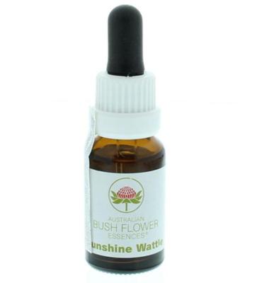 Australian Bush Sunshine wattle 15 Milliliter