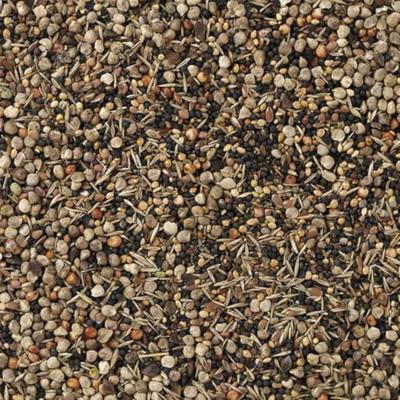 DeliNature Wilvestrezaden 3 kg vogels