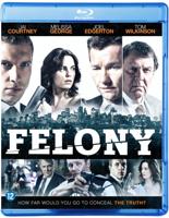 Felony (2013) - thumbnail