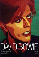 David Bowie no shit, just facts (Paperback) - thumbnail