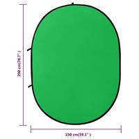 VidaXL Achtergrondscherm studio 2-in-1 ovaal 200x150 cm groen en blauw - thumbnail