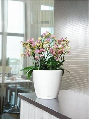 Jardiniere - Classico premium LS 28 - Complete set - Glanzend wit - 7 L - LECHUZA