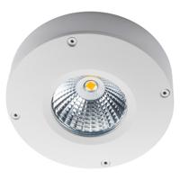 SG Callisto LED opbouw wit 3000K 180 lm dimbaar IP65 IK06 - thumbnail