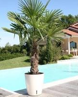 RIVIERA EVA NEW ronde bloembak - Kunststof - Diameter 36 cm - Blauw - thumbnail