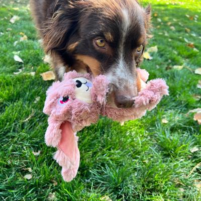 KONG SCRUMPLEZ BUNNY PLUCHE MET PIEP ROZE 21X28X8 CM KONG SCRUMPLEZ BUNNY PLUCHE MET PIEP ROZE 21X28X8 CM