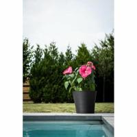Bloempot - GARDEN ID - Green Care Sense Zwart-Antraciet - 50 x 41 cm - 10 jaar garantie - 100% gerecycled - UV- en vorstbestendig - thumbnail