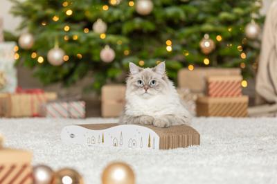 TRIXIE XMAS KERST KRABPLANK KARTON