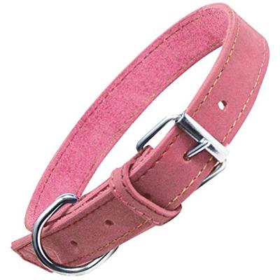 Hondenhalsband Gloria Oasis Rood (70 x 3 cm)