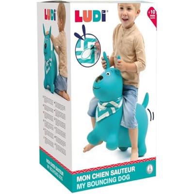 Mijn huppelende hond LUDI hemelsblauw