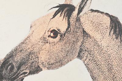 Canvas DKD Home Decor polyestyreen Canvas 180 x 4 x 120 cm 120 x 4 x 60 cm (3 Onderdelen) Canvas DKD Home Decor polyestyreen Canvas 180 x 4 x 120 cm 120 x 4 x 60 cm (3 Onderdelen)