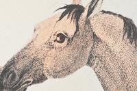 Canvas DKD Home Decor polyestyreen Canvas 180 x 4 x 120 cm 120 x 4 x 60 cm (3 Onderdelen) - thumbnail