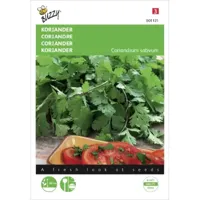 Buzzy® Koriander Zaden - thumbnail