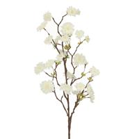 Kunst Bloesemtak 110cm Creme - thumbnail