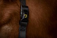 Excellent Horse Essential Halster XS Mini Foal Zwart - thumbnail