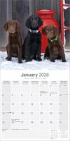Flatcoated Retriever Kalender 2026 - thumbnail