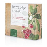 Kersepitje Warmtekussen Jumbo 26x55cm - thumbnail