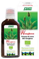 Salus Weegbreesap - thumbnail