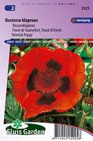 Papaver Orientale zaden Oosterse rode Klaproos - thumbnail