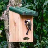 Vogelbescherming Nederland nestkast toronto - thumbnail