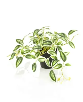 Kunstplant Tradescantia Groen Wit in pot - 19cm
