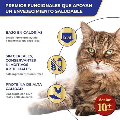 INABA Churu Senior Tuna with Salmon Recipe - Kattensnoepje - 4x14g