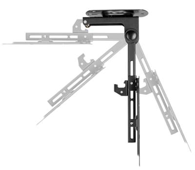 My Wall HL 45-2 L Monitor-plafondbeugel Zwart Kantelbaar, Draaibaar, Plafondhouder My Wall HL 45-2 L Monitor-plafondbeugel Zwart Kantelbaar, Draaibaar, Plafondhouder