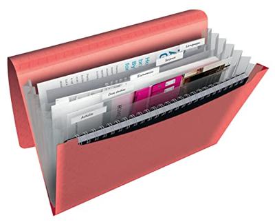 Esselte 628447 map Polypropyleen (PP) Koraal, Doorschijnend A4