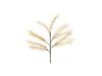 Pluimgras tak met LED 72cm Coffee - thumbnail