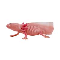 Mojo wildlife axolotl 381108 - thumbnail