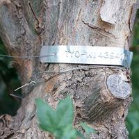 DYMO 12mm Non Adhesive Aluminum Tape - thumbnail