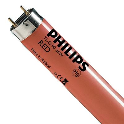 Philips Fluorescentielamp G13 36 W Staaf 1 stuk(s) Philips Fluorescentielamp G13 36 W Staaf 1 stuk(s)