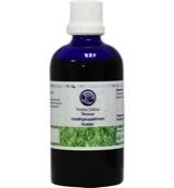 Avena sativa tinctuur - thumbnail