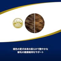 FARMINA N&D Brown Dog Lamb, Spirulina&Carrot Adult Mini - droog hondenvoer - 2 kg - thumbnail