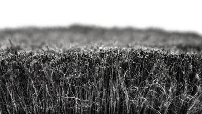 Muc-Off soft washing brush