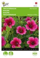 Zaden malope trechtermalva red queen 1.5 gram Buzzy - Buzzy - thumbnail