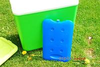 Koelelement 1kg voor 24L Koelbox - thumbnail