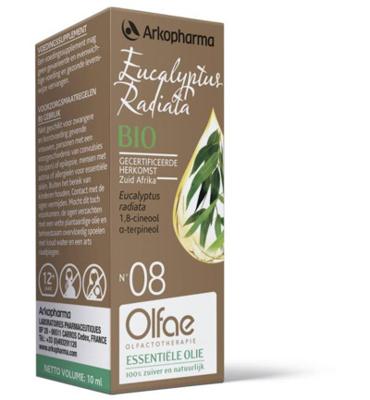 Olfae Eucalyptus radiata 08 bio 10 Milliliter