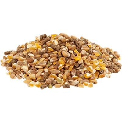 Versele Laga Country's Best Gold 4 scharrelmix kippenvoer 20 kg Versele Laga Country's Best Gold 4 scharrelmix kippenvoer 20 kg
