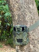 Denver WCS-5023 Wildcamera 50 Mpix Camouflage - thumbnail