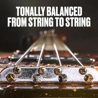Dunlop DBFS40120S Flatwound Short Scale 40-120 voor 5-snarige basgitaar Dunlop DBFS40120S Flatwound Short Scale 40-120 voor 5-snarige basgitaar