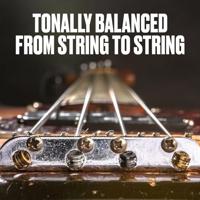 Dunlop DBFS40120S Flatwound Short Scale 40-120 voor 5-snarige basgitaar - thumbnail