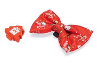 BZ KERSTSTRIK EN LAMPJE RD - thumbnail