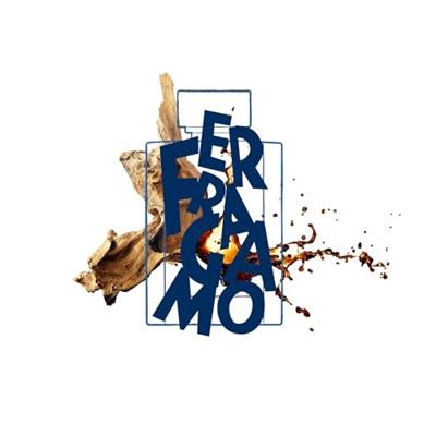 Ferragamo - S. Ferragamo Uomo Urban Feel Eau de Toilette Spray 30 ml Heren