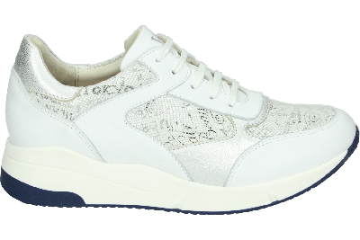 Verhulst 2301 H - alle