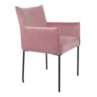 Set van 2 - Armstoel Dion - thumbnail