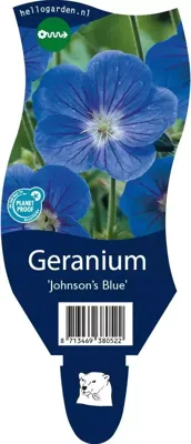 Geranium Johnson s Blue vaste plant Griffioen - Griffioen Geranium Johnson s Blue vaste plant Griffioen - Griffioen