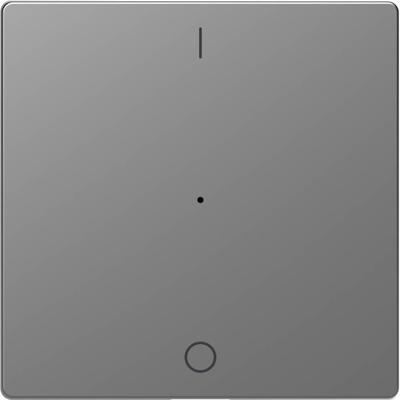 Merten MEG5211-6036 Wisselschakelaar Afdekking System Design RVS 1 stuk(s)