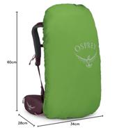 Osprey Kyte 38 Backpack Dames Elderberry Purple WM/L - thumbnail
